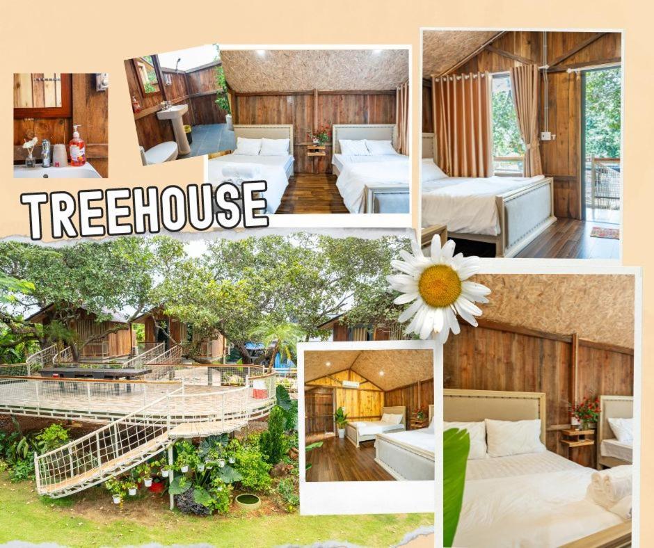 Greenfield Farmstay Vung Tau Bà Rịa Ngoại thất bức ảnh