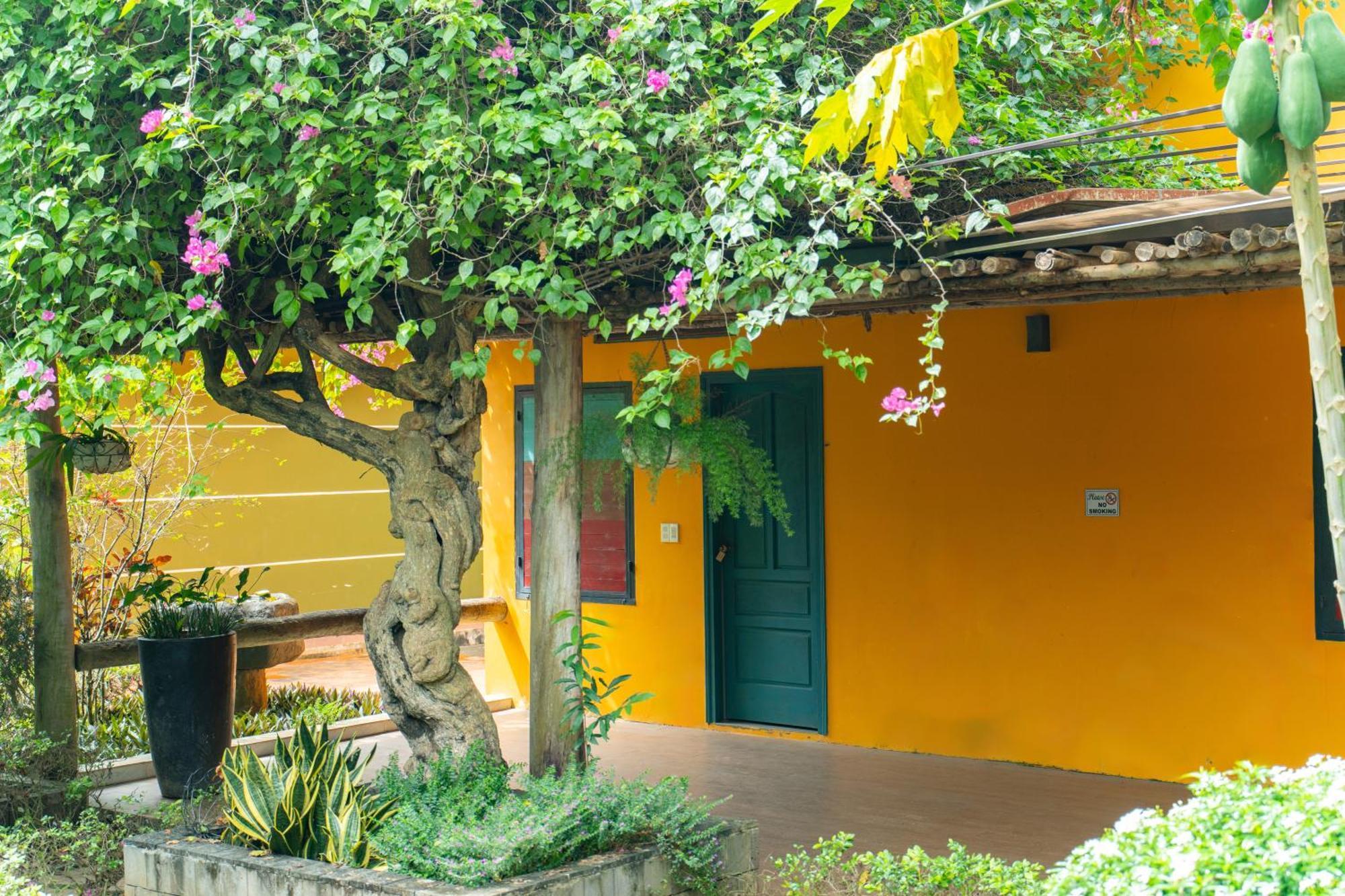 Greenfield Farmstay Vung Tau Bà Rịa Ngoại thất bức ảnh